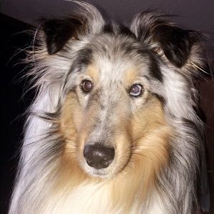 Meet your Posher, Chantell